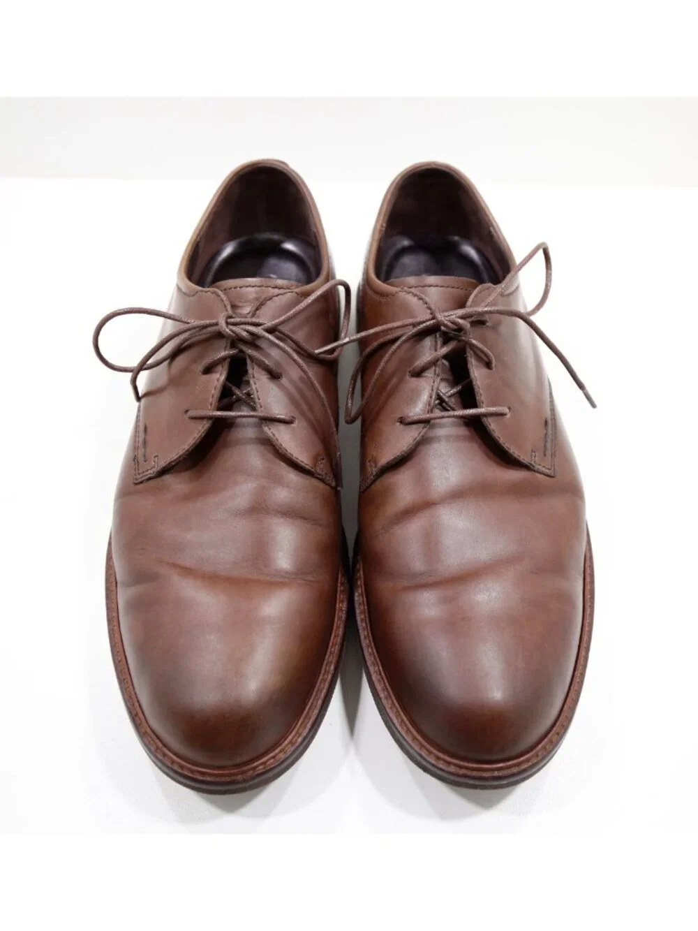 Ecco kenton brown